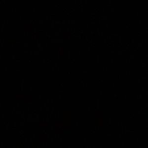 Meet your Posher, Izzy